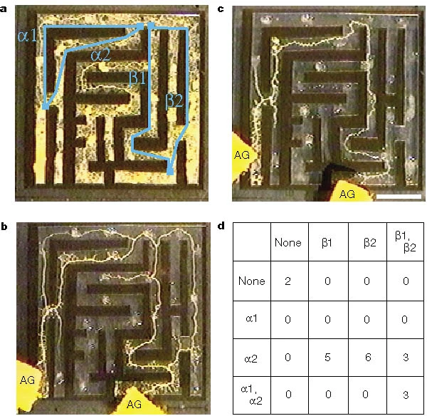 figure_5